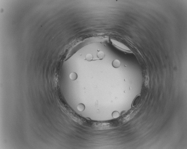 X0000068770476200605262211