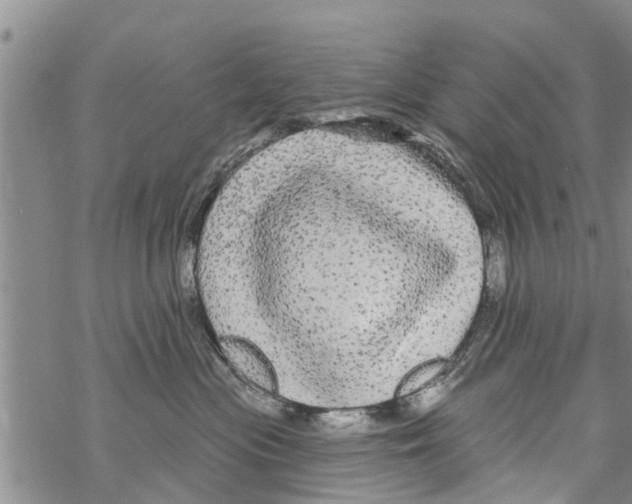 X0000068770477200605262211