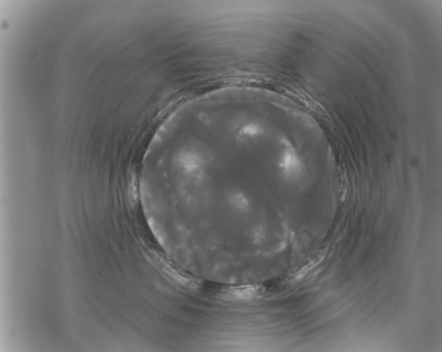 X0000068770479200605262211