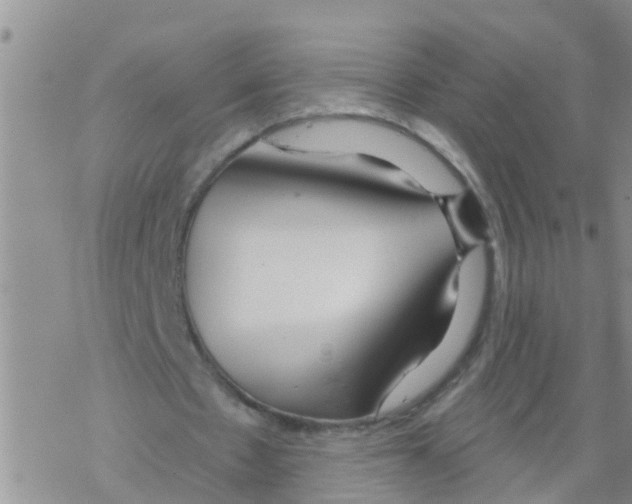 X0000068770481200605262210