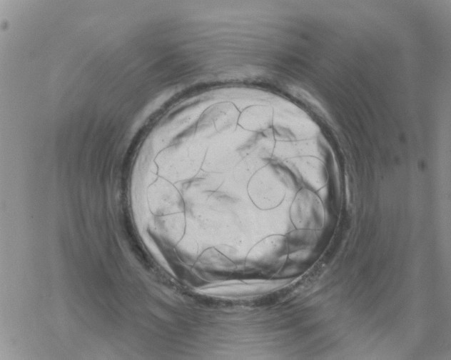 X0000068770483200605262210