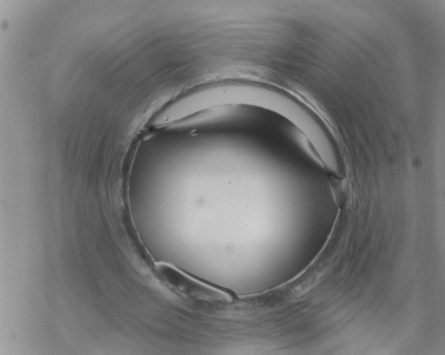 X0000068770485200605262210