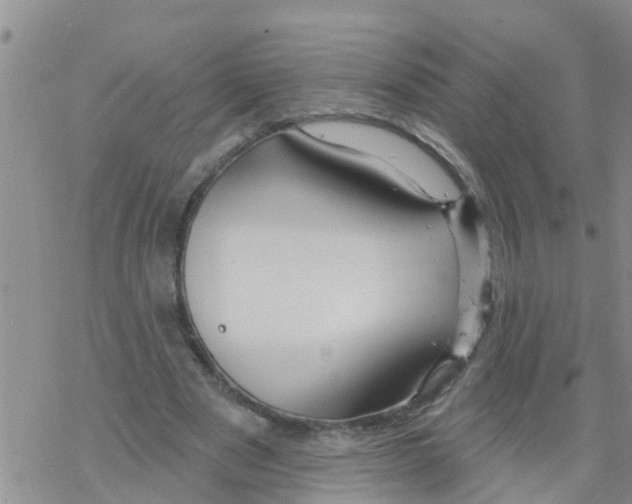 X0000068770489200605262210