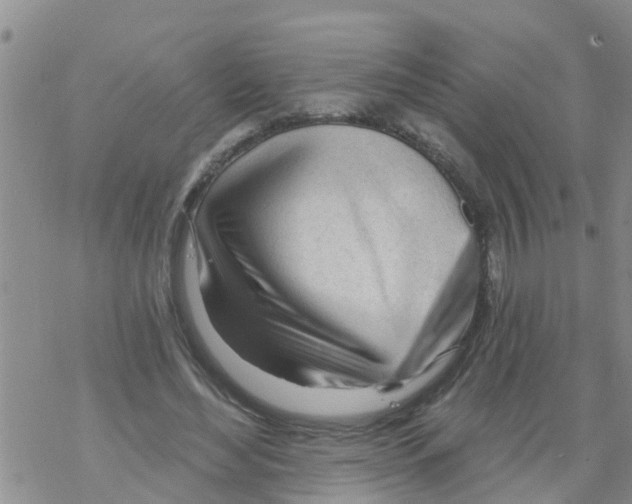 X0000068770492200605262210