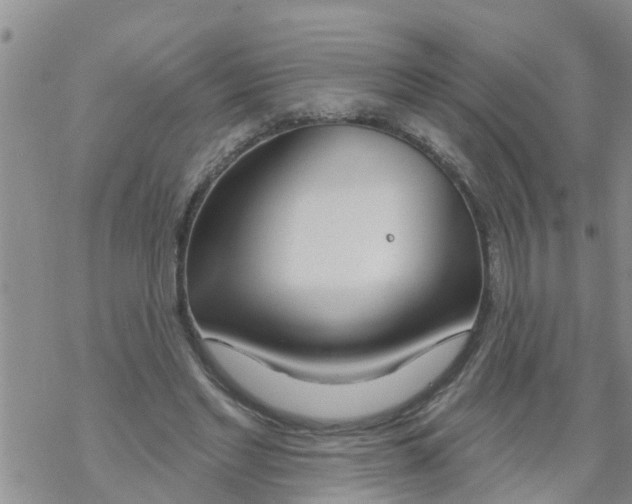 X0000068770493200605262210