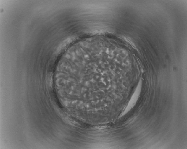 X0000068770495200605262210