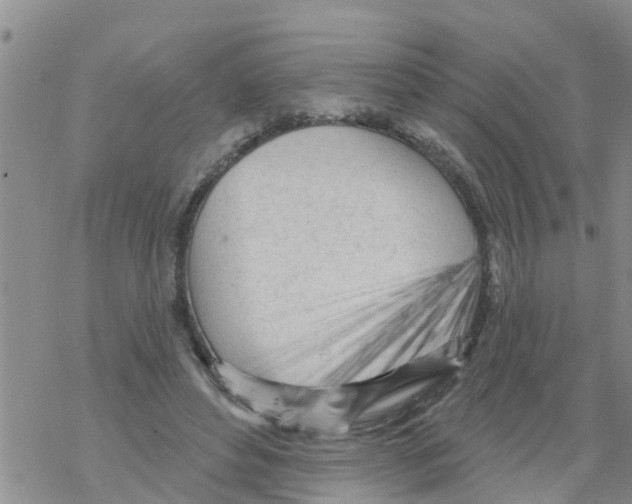 X0000068770496200605262210