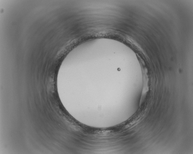 X0000068770497200605262210