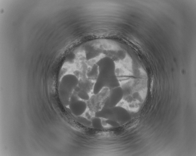 X0000068770499200605262209