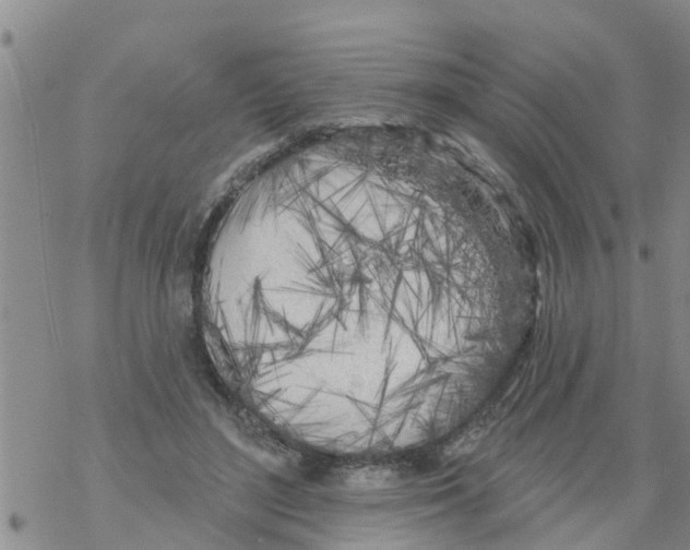 X0000068770500200605262209