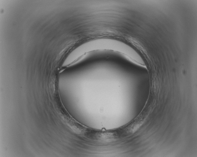 X0000068770501200605262209