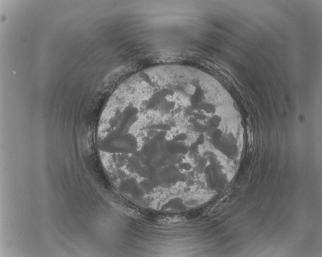 X0000068770503200605262209