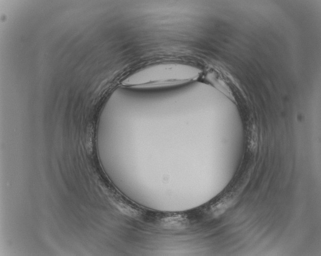 X0000068770505200605262209