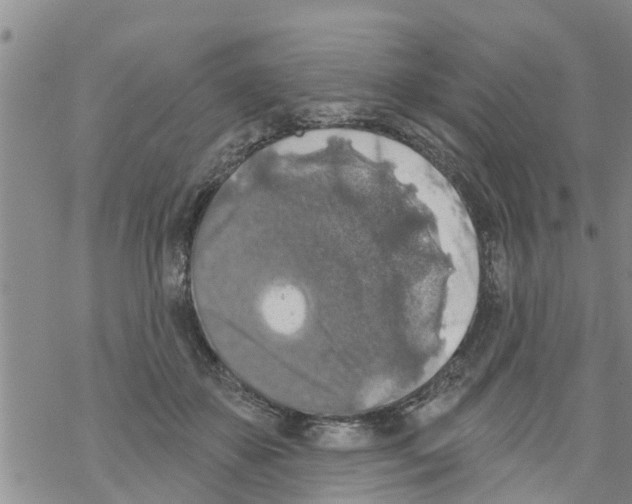 X0000068770507200605262209