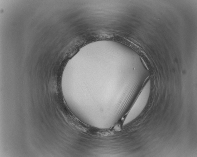 X0000068770512200605262209