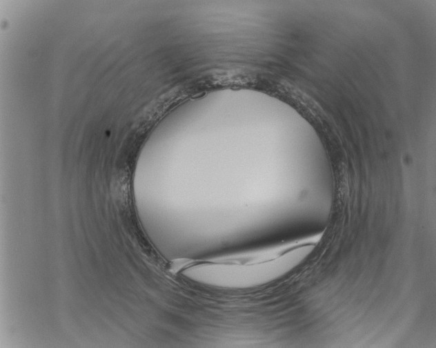 X0000068770513200605262209