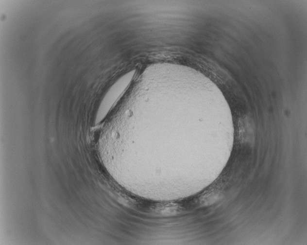 X0000068770514200605262209