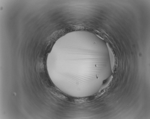 X0000068770516200605262209