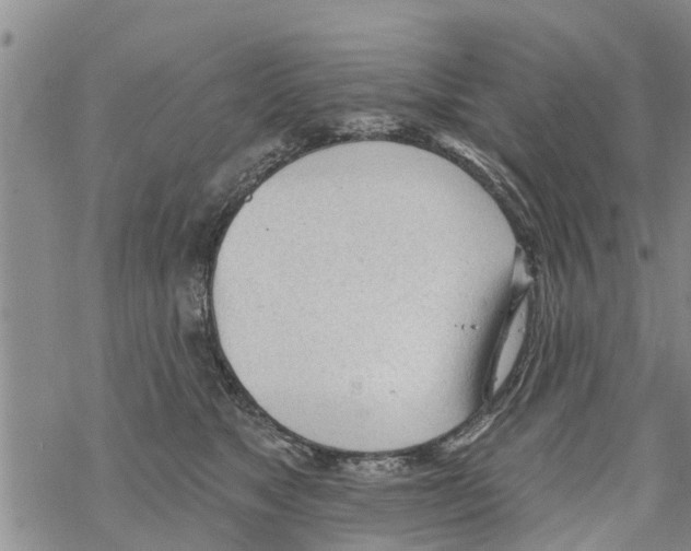 X0000068770517200605262209