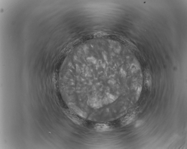 X0000068770519200605262209