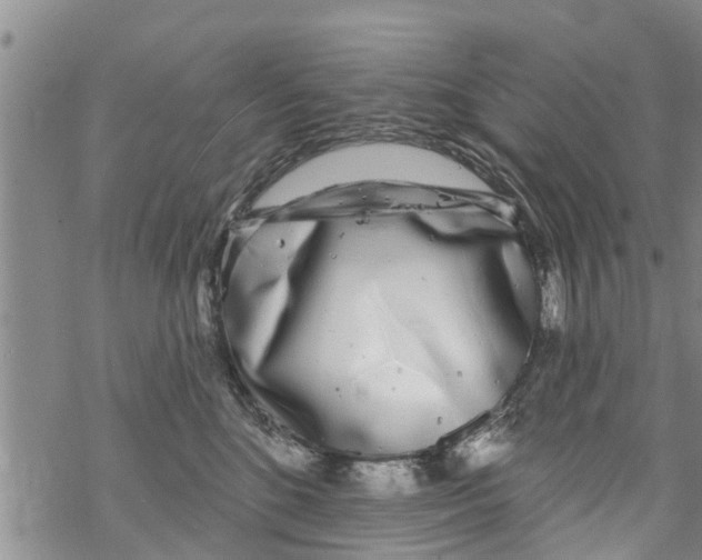 X0000068770520200605262209