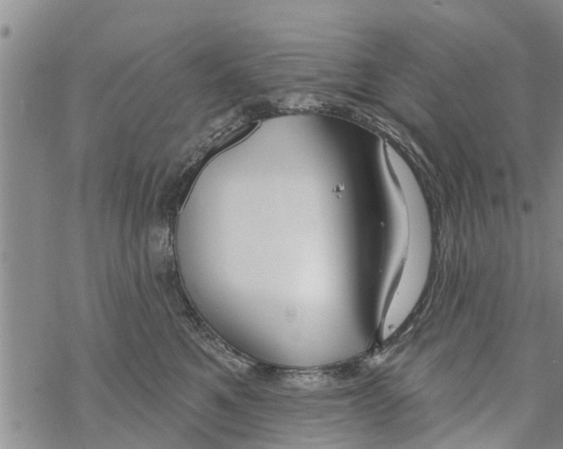 X0000068770521200605262209