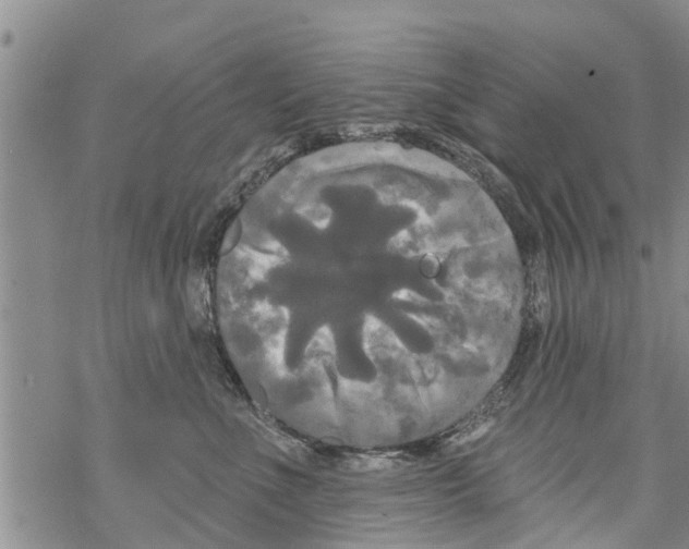 X0000068770523200605262209