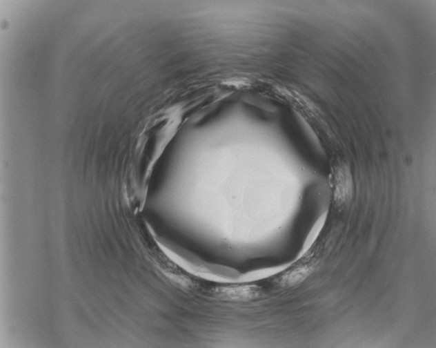 X0000068770524200605262209