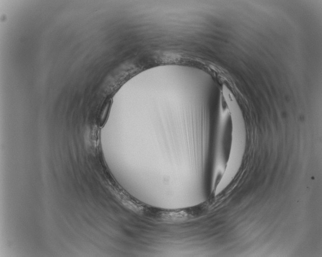 X0000068770525200605262209