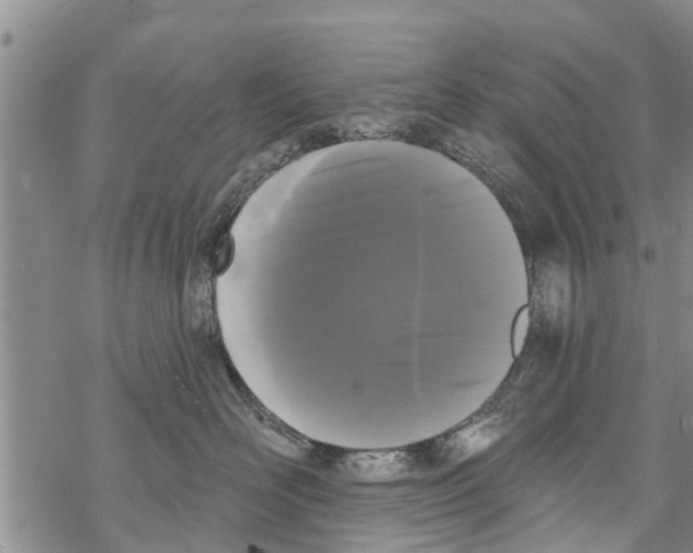 X0000068770526200605262209