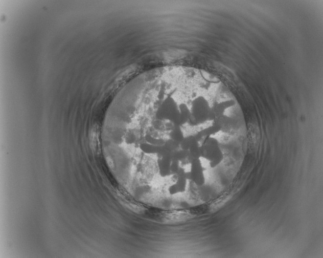 X0000068770527200605262209