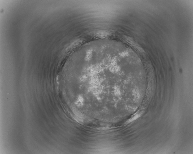 X0000068770528200605262209