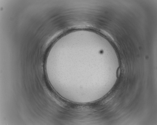 X0000068770535200605262208