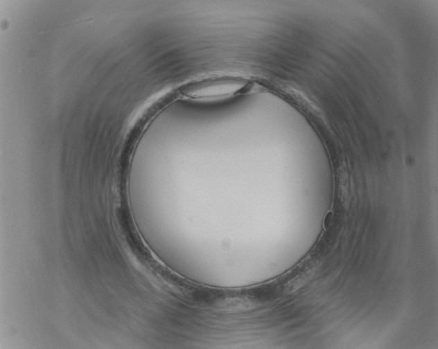 X0000068770536200605262208