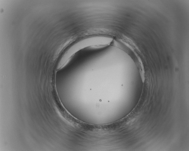 X0000068770538200605262208