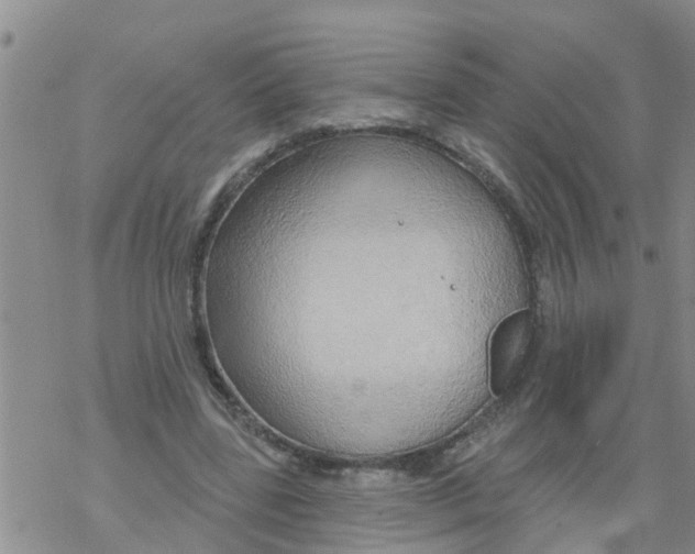 X0000068770539200605262208