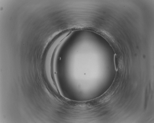 X0000068770540200605262208