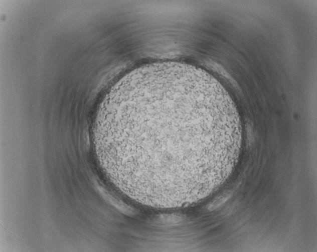 X0000068770541200605262208