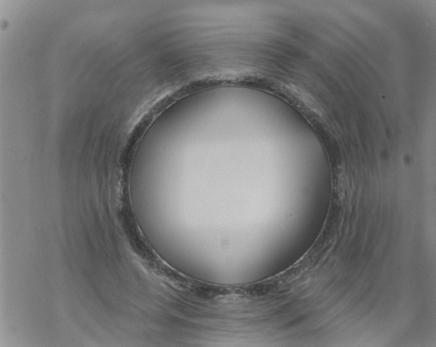 X0000068770544200605262208