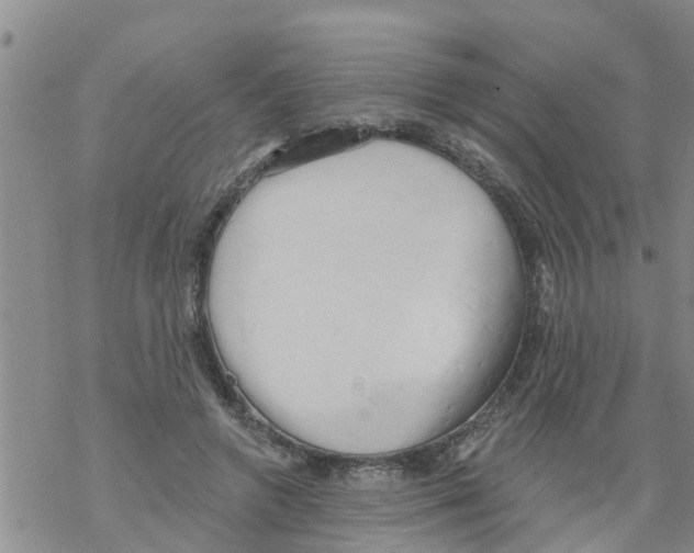 X0000068770546200605262209