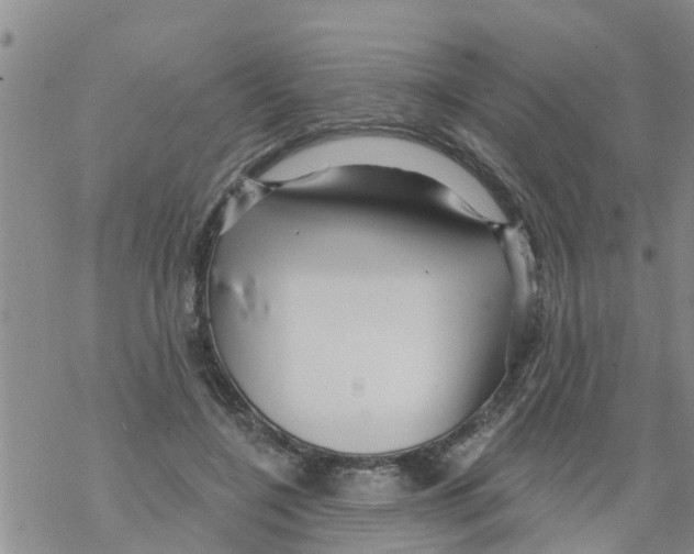 X0000068770548200605262209