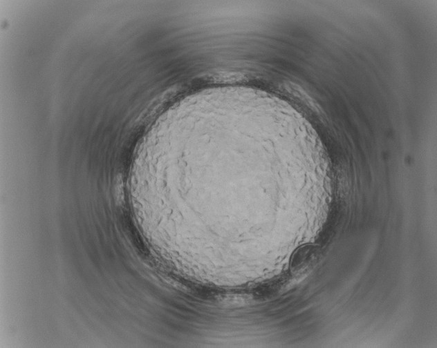 X0000068770549200605262209