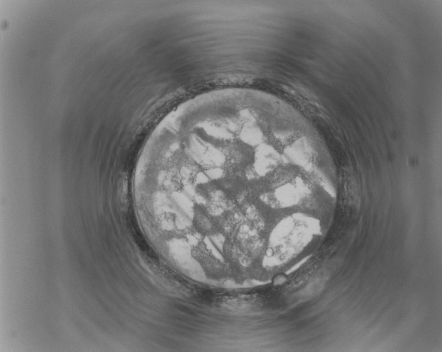 X0000068770550200605262209