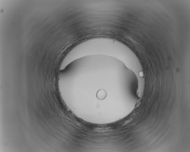 X0000068770556200605262209