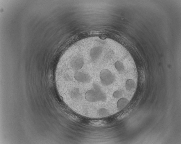 X0000068770557200605262209