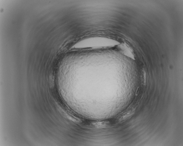 X0000068770558200605262209