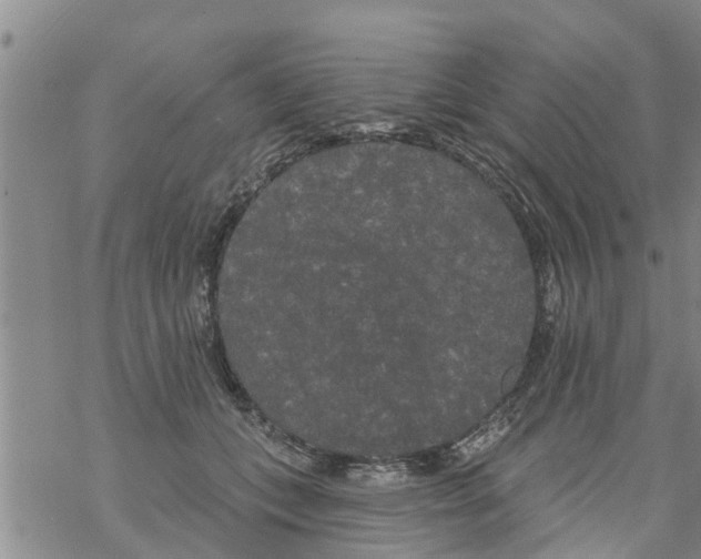 X0000068770559200605262209