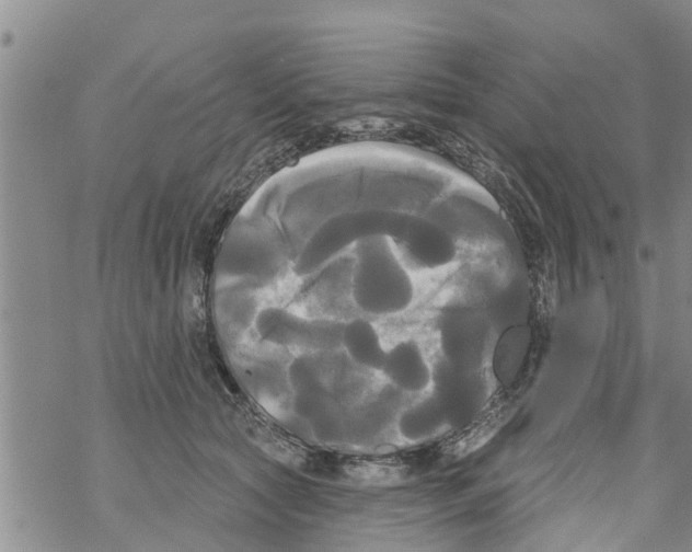 X0000068770561200605262209