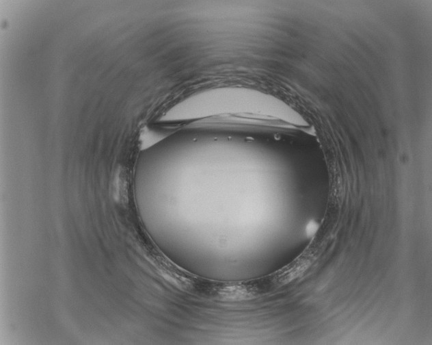 X0000068770562200605262209