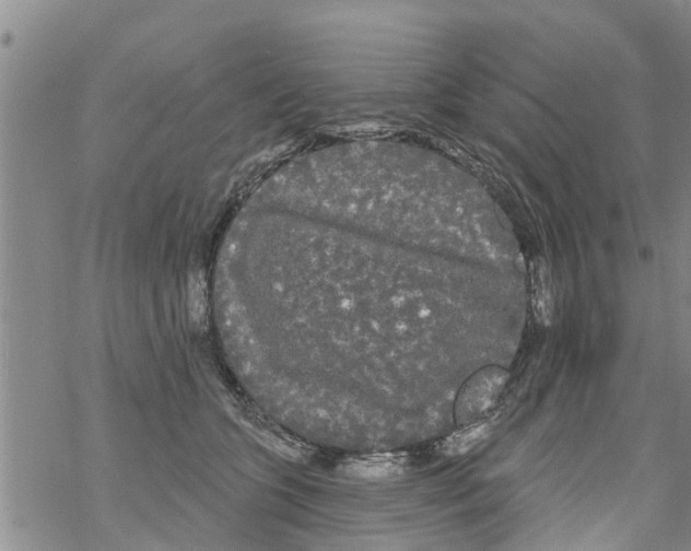 X0000068770563200605262209